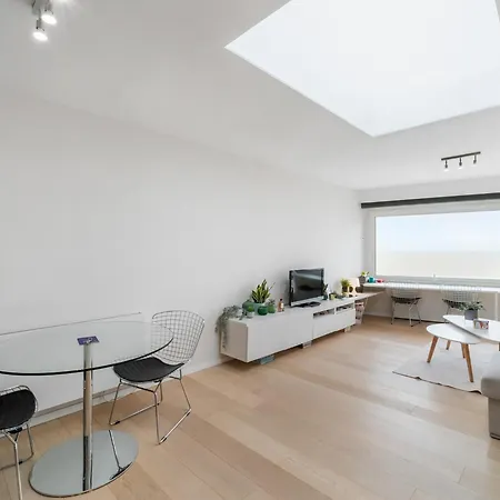 Attractive With A Sea-view, Cleaning Included Apartment Blankenberge